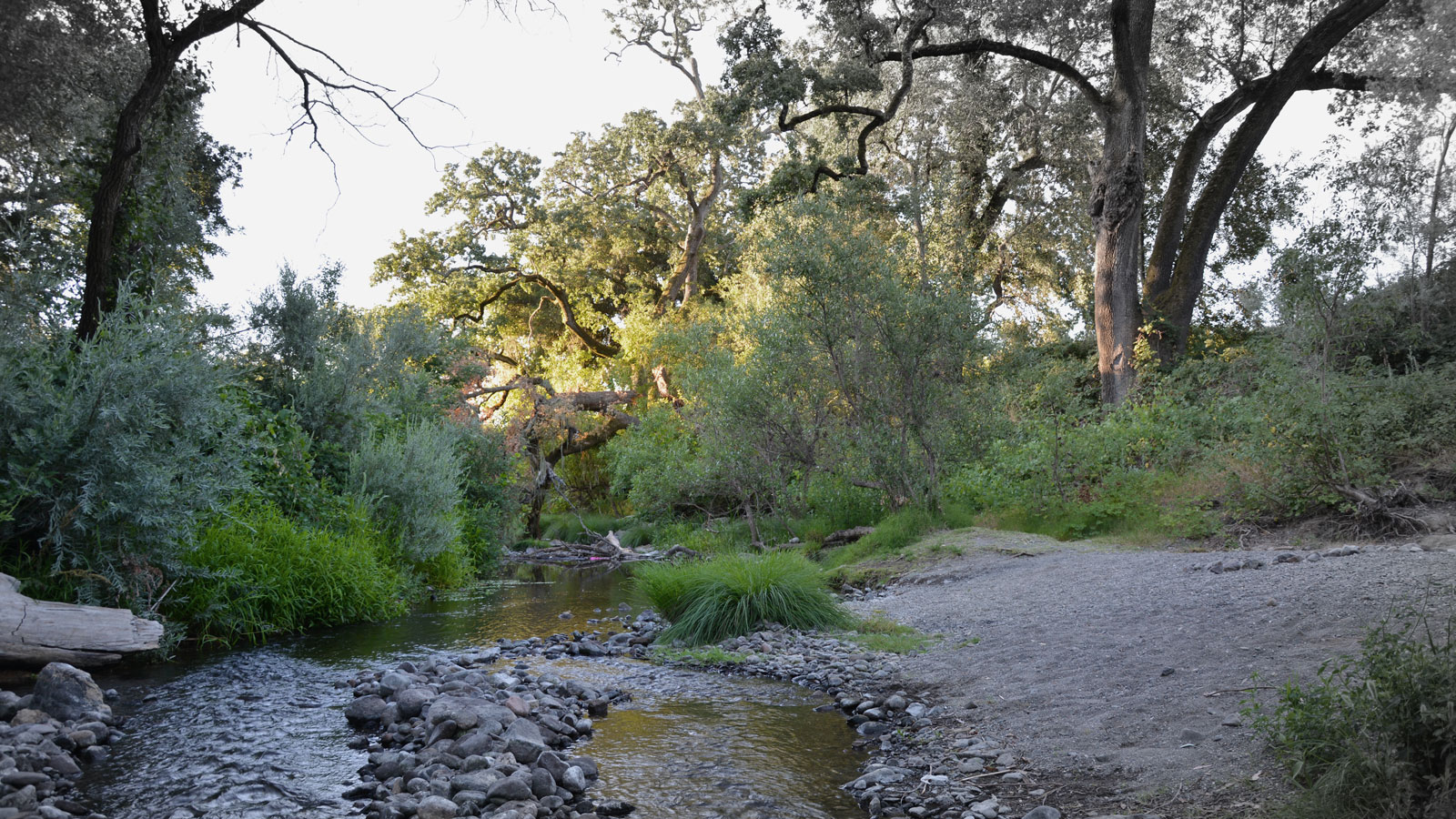 Early 2000s: Collaborative Watershed Initiative