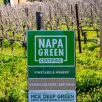 Picture of Napa Green | Champion Story