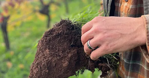 Regenerative Agriculture 