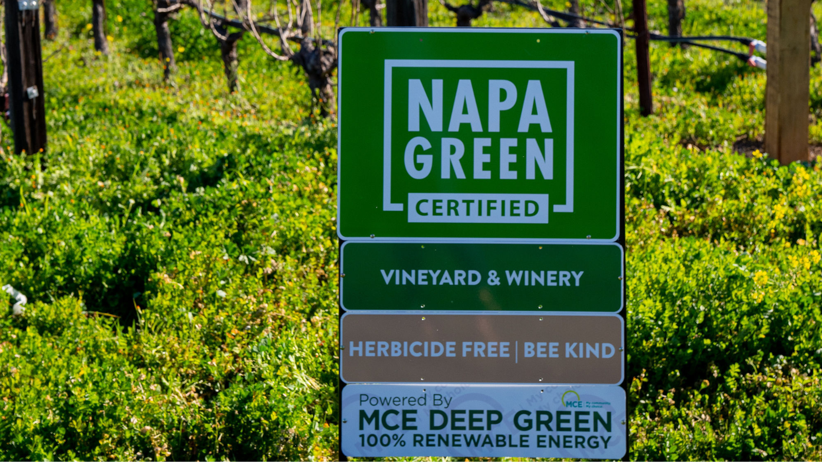 Sustainability Leadership