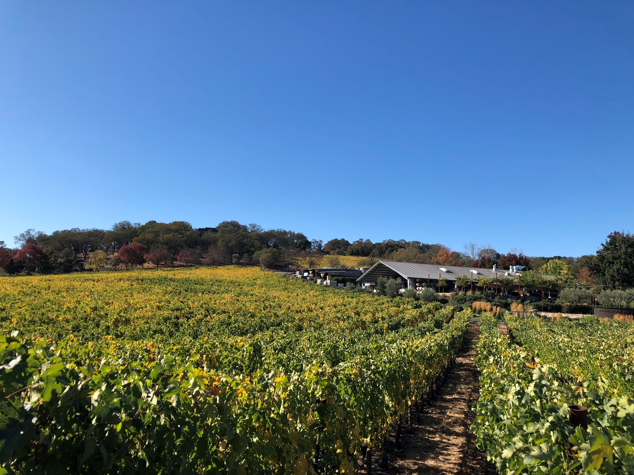 Shadybrook Estate Winery