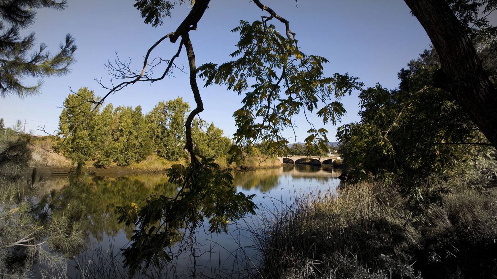 Napa River