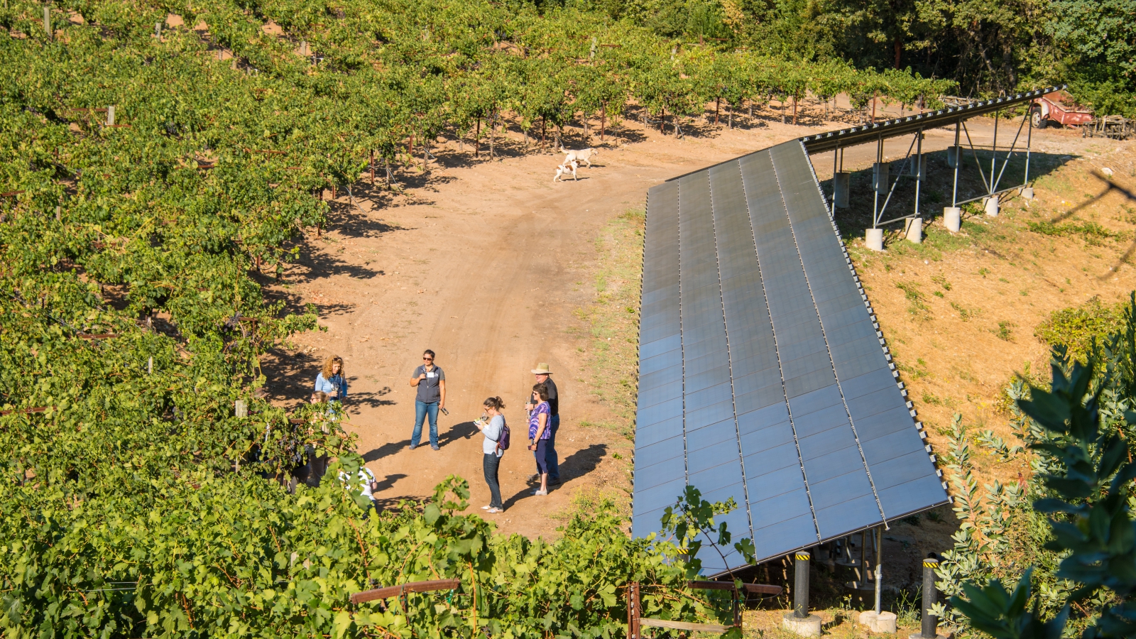 Solar Panels Workshop