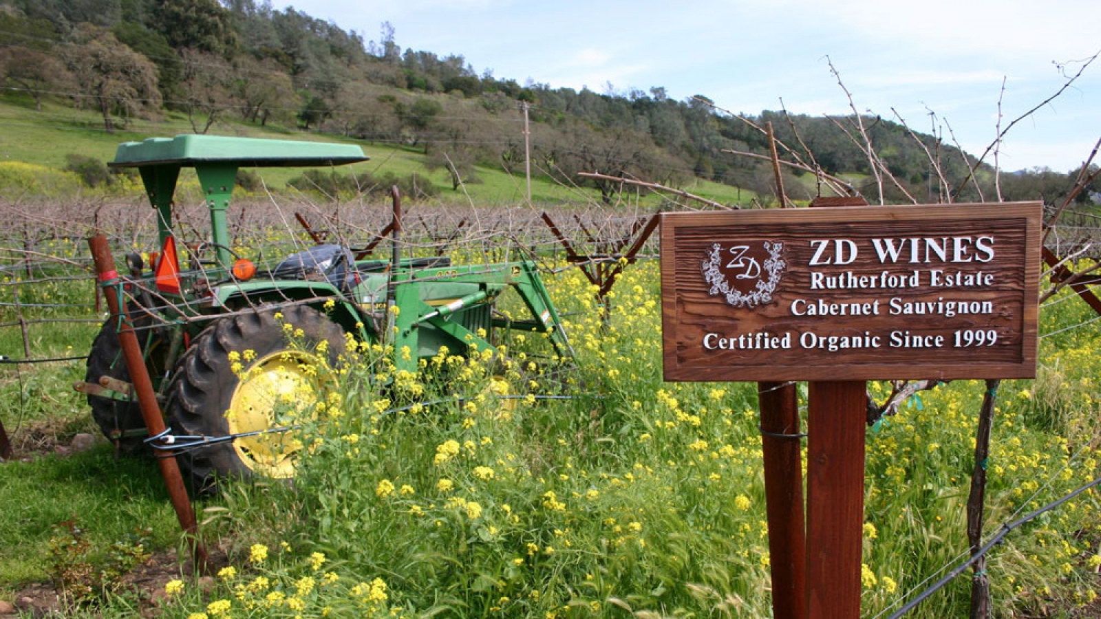 ZD winery