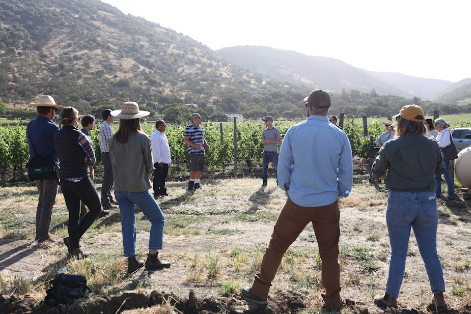 Join Tod Mostero, Director of Viticulture & Winemaking at Dominus Estate, as he works with Josh Widaman, Estate Winemaker, and Gustavo Aviña, Viticulture Director, of Pine Ridge Vineyards to begin the process of transitioning a now fallow vineyard to dry farming. Dry farming doesn't mean you just turn off the water - it requires careful forethought before planting a vineyard, and strategic management once planted. This small workshop will give you a chance to join in and learn from the start of that transition conversation.