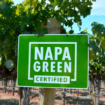 Picture of napa green