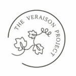 the-verasion-project-logo