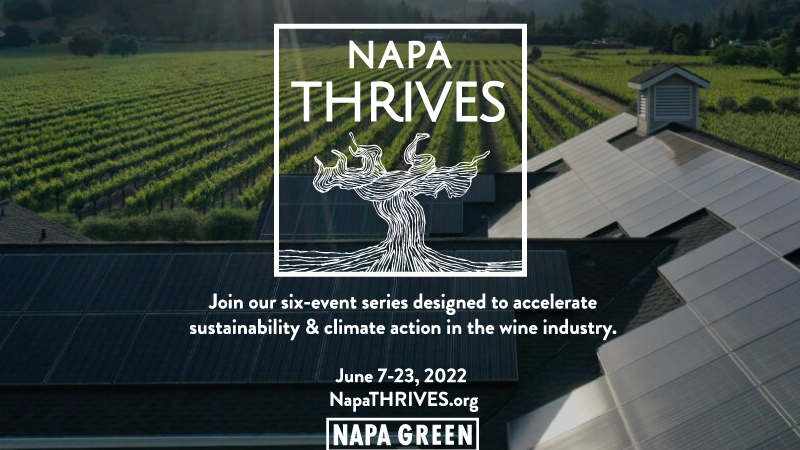 Napa-THRIVES---Energy