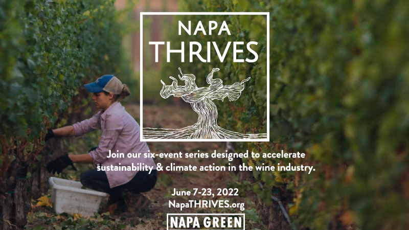 Napa-THRIVES-Social-Equity